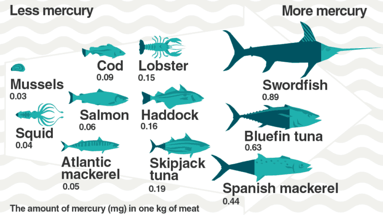 Mercury Rising In Fish